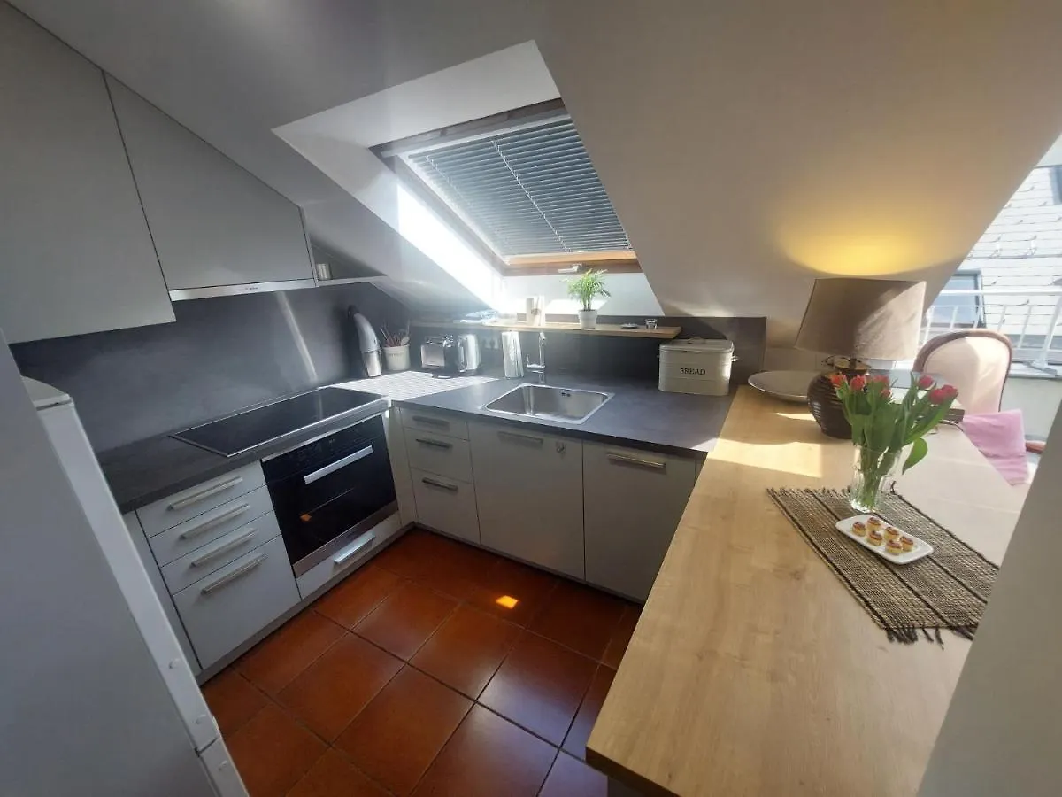 Apartment Loft Starhemberg By Interhome Wien 0*,  Österrike
